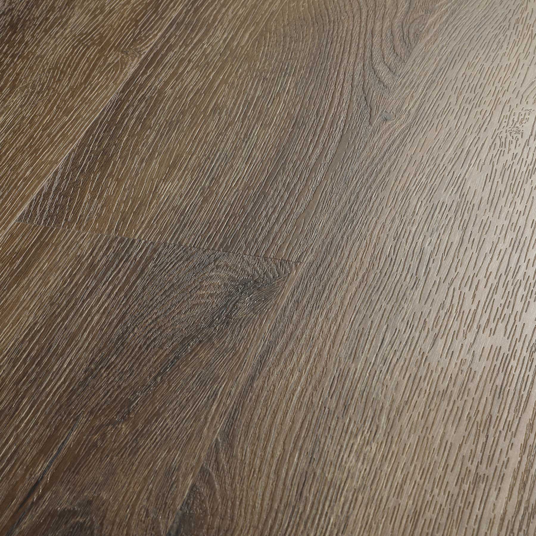 Chocolate Pine - Image 4