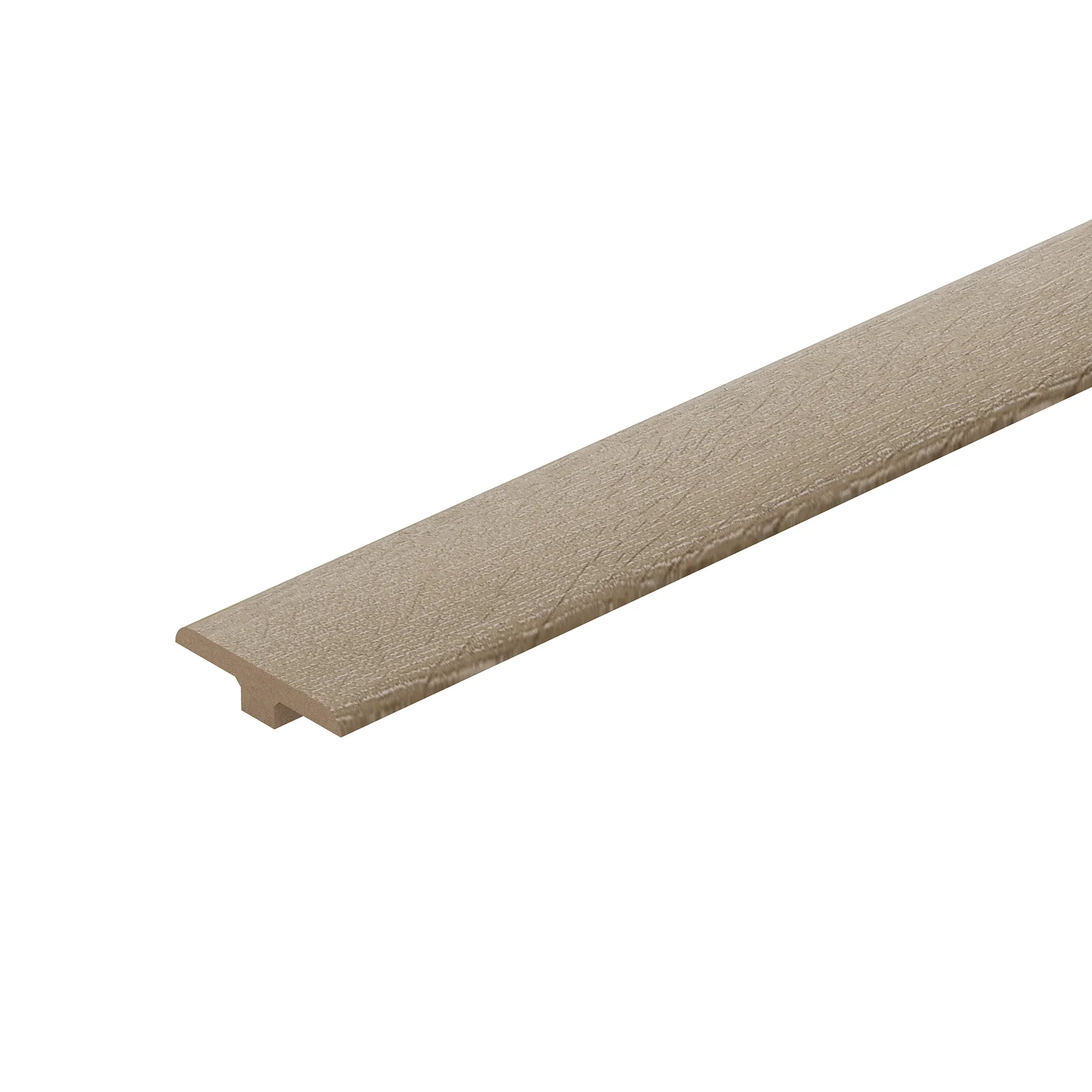 Date Palm 1.2m T Profile - Image 5